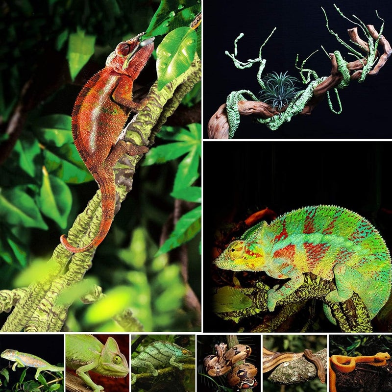 Kathson 3 PCS Reptile Vines Plants Flexible Bendable Jungle Climbing Vine Terrarium Plastic Plant Leaves Pet Tank Habitat Decor for Bearded Dragons Lizards Geckos Snakes Frogs and More Reptiles - Image 5